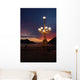 Miraconcha Avenue San Sebastian Wall Decal