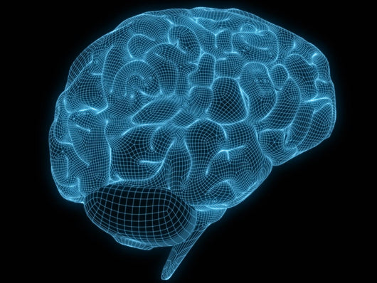 Wireframe Brain Wall Decal