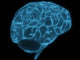 Wireframe Brain Wall Decal