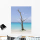 Tree Water's Edge Wall Decal