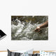 Angling River Wall Decal