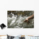 Angling River Wall Decal