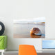 Seashell Wall Decal