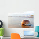 Seashell Wall Decal