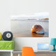 Seashell Wall Decal