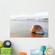 Seashell Wall Decal