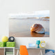 Seashell Wall Decal