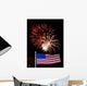 Fireworks 47-1 Wall Decal
