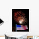 Fireworks 47-1 Wall Decal
