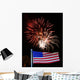 Fireworks 47-1 Wall Decal