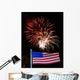 Fireworks 47-1 Wall Decal