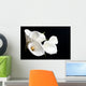 White Calla Lily Black Wall Decal