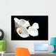 White Calla Lily Black Wall Decal