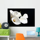 White Calla Lily Black Wall Decal