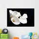 White Calla Lily Black Wall Decal