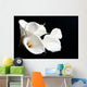 White Calla Lily Black Wall Decal