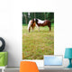Rural Scene Belgium Horses Wall Decal
