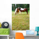Rural Scene Belgium Horses Wall Decal