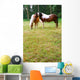 Rural Scene Belgium Horses Wall Decal