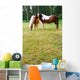 Rural Scene Belgium Horses Wall Decal