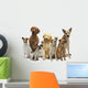 Dog Group Pet Wall Decal