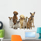 Dog Group Pet Wall Decal