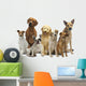 Dog Group Pet Wall Decal