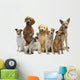 Dog Group Pet Wall Decal
