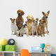 Dog Group Pet Wall Decal
