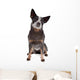 Australian Cattle Dog Wall Decal