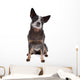 Australian Cattle Dog Wall Decal