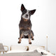 Australian Cattle Dog Wall Decal