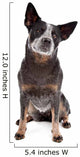Australian Cattle Dog Wall Decal