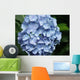 Blaue Hydrangea Bl Te Wall Decal