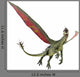 Green Dragon Wall Decal