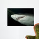 Sand Tiger Shark Wall Decal