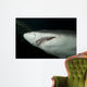 Sand Tiger Shark Wall Decal