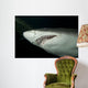 Sand Tiger Shark Wall Decal
