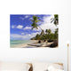 Wild Caribbean Beach Samana Wall Decal