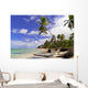Wild Caribbean Beach Samana Wall Decal