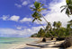 Wild Caribbean Beach Samana Wall Decal