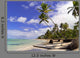 Wild Caribbean Beach Samana Wall Decal