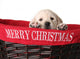 Christmas Puppy Wall Decal