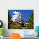 Matterhorn Railroad Train Wall Decal