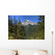 Mount Rainier Wall Decal