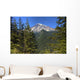 Mount Rainier Wall Decal