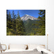 Mount Rainier Wall Decal