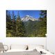Mount Rainier Wall Decal