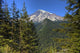 Mount Rainier Wall Decal