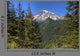 Mount Rainier Wall Decal